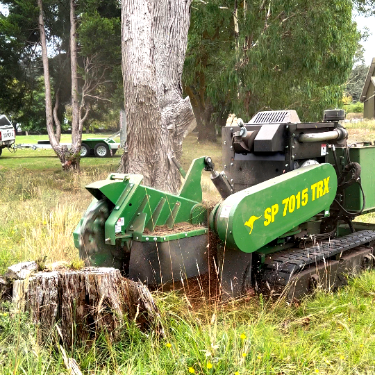 Stump Grinding