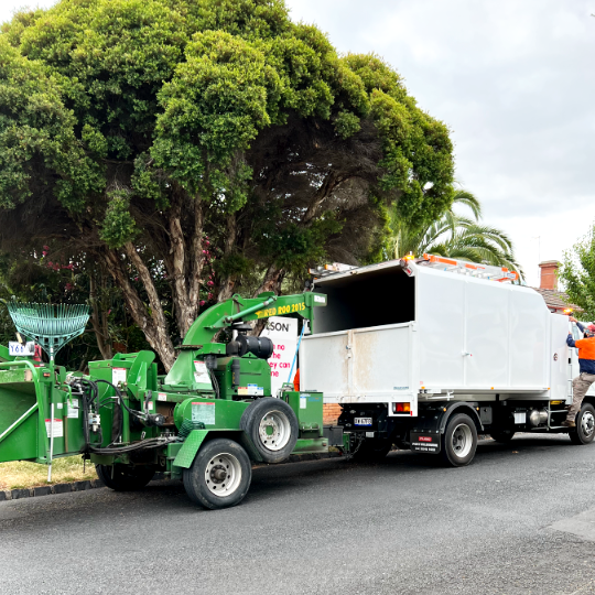 Tree Pruning